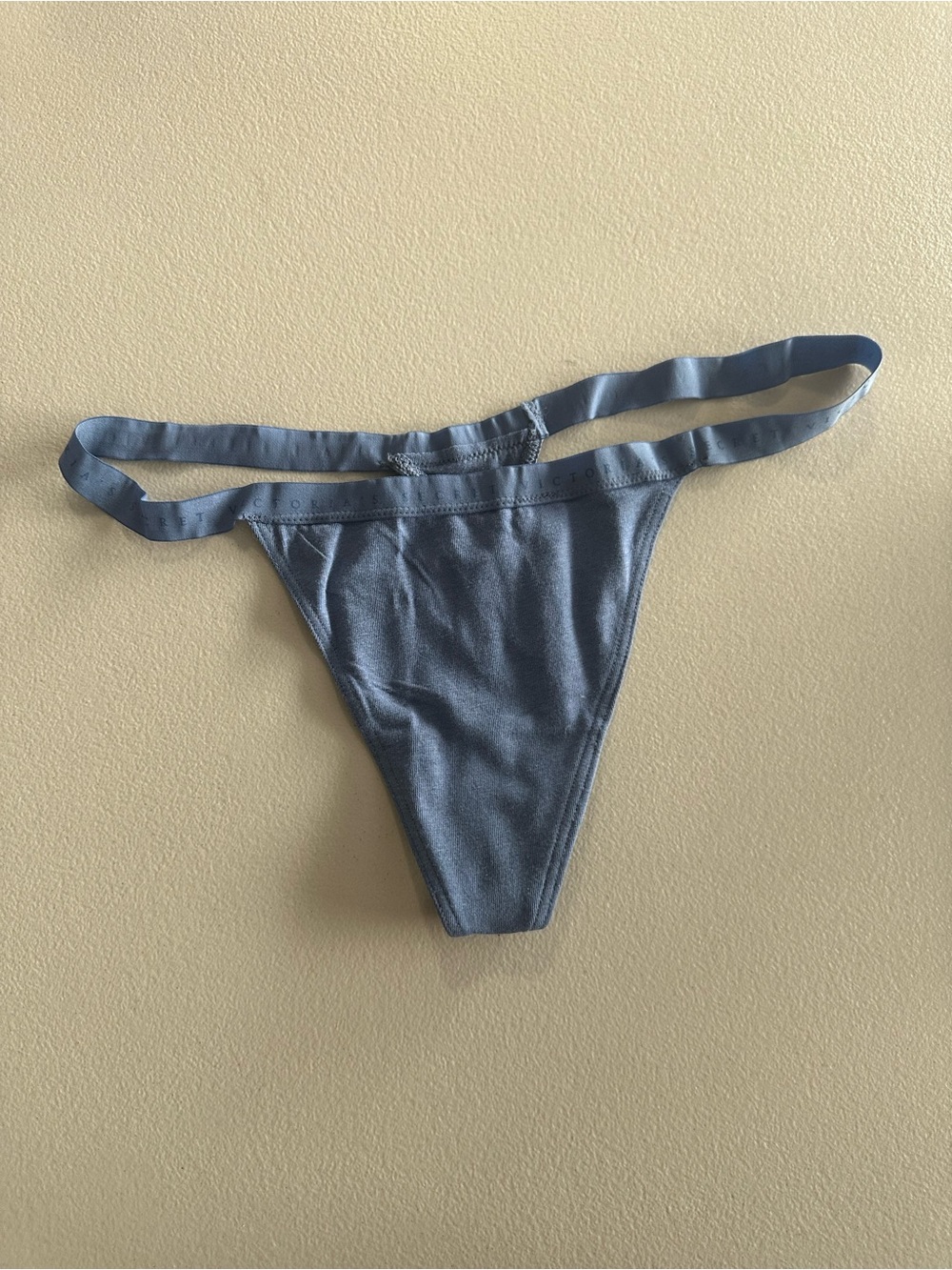 Victoria’s Secret stretch cotton V-String panty in moonlight blue